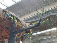 -南宫五洲植物乐园