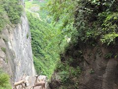 -鹿院坪生态旅游景区
