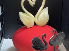 -BLACKSWAN黑天鹅(环球店)