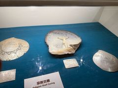 -青岛贝壳博物馆
