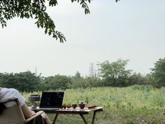 -三圣花乡旅游区