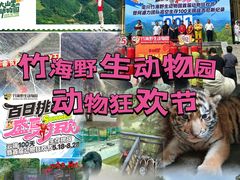 -栾川竹海野生动物园
