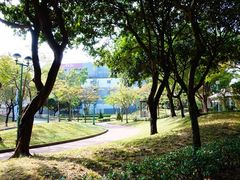 -九龙寨城公园