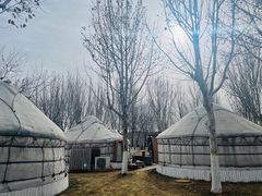 -九十九顶毡房(阜石路店)