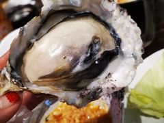 -九州酒场ひこぞう(2号店)
