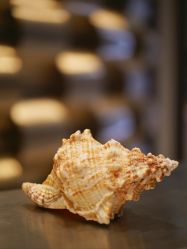 -珠海瑞吉酒店·铱瑞水疗