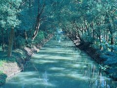 -同里国家湿地公园