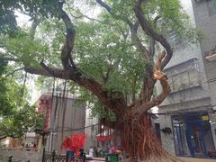 -小洲村