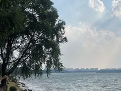 -丁香湖公园