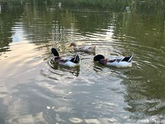 -天目湖涵田半山温泉