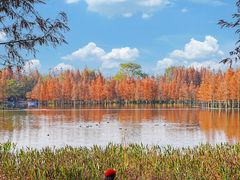 -白鹭湾湿地公园
