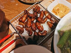 -鸽子窝(青塔店)