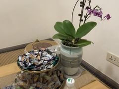-沐森 •疗愈头疗馆(打浦桥店)