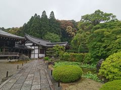 -西芳寺(苔寺)