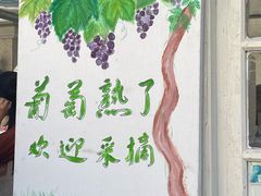 -北京张裕爱斐堡酒庄