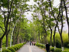 -日照海滨国家森林公园