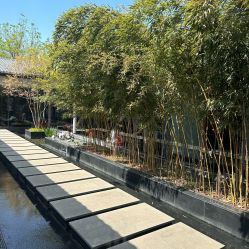 -爱儿美儿童摄影(朝阳公园店)