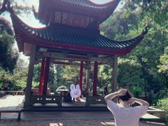 -岳麓山风景名胜区