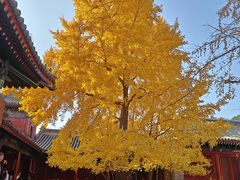 -承恩寺