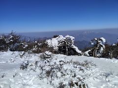 -秦岭风景区