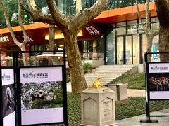 -西安电影制片厂