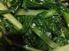 -风波庄(罍街分舵)