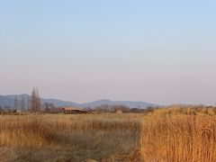-良渚古城遗址公园