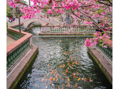 -宝墨园景区