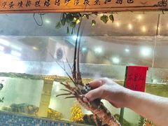 -巽寮印象美食部落餐厅·海鲜·地方特色菜(惠州体验店)