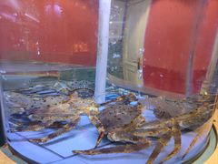 -红顶食府(滨湖九号店)