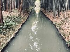 -同里国家湿地公园