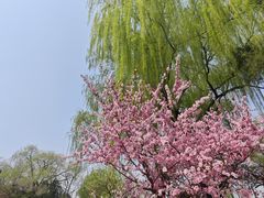 -紫竹院公园-东门停车场