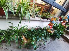 -美味之家·湖景农家乐(太湖东山店)