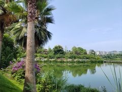 -枫香湖儿童公园