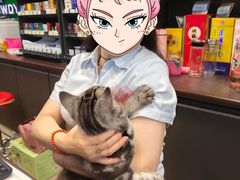 -中国石化江苏南京湖西街加油站