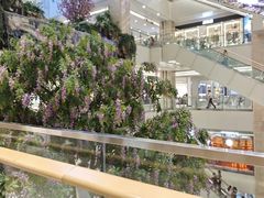 -赛格国际购物中心(小寨店)