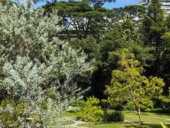 -深圳国际园林花卉博览园