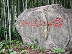 -上海醉白池公园