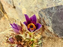 -北京鹫峰国家森林公园