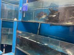 -永安鱼庄·镇江菜(三店纬五路店)