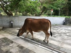 -天坛大佛