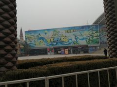 -皇家海洋乐园
