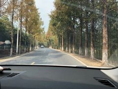 -东天目山风景区