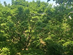 -东吴大帝孙权纪念馆