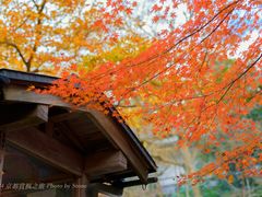 -三千院