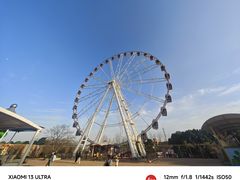 -顾村公园