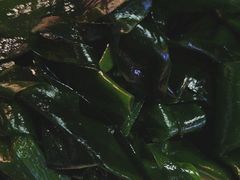 -李掌柜鲜菜火锅(移民广场店)