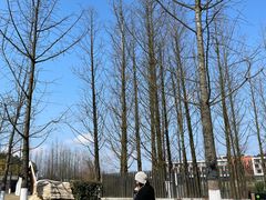 -铁山坪森林公园