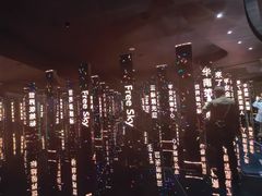-平安金融中心云际观光层