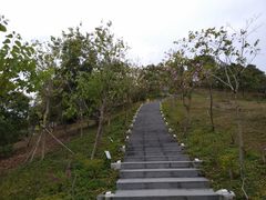 -聚龙山公园